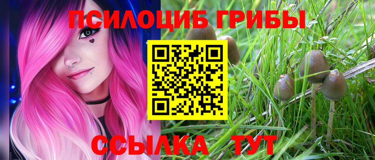 Галлюциногенные грибы Cubensis  Вход с VPN  Нальчик  Галлюциногенные грибы Psilocybine cubensis 